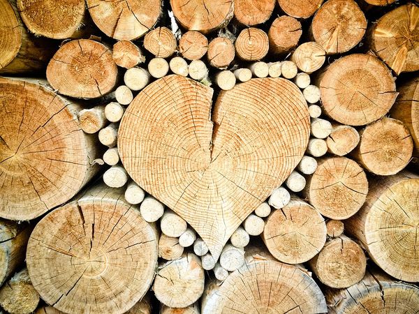 Drewno w domu – sposób na wyjątkową przestrzeń!
